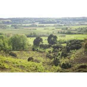 Udsigt fra Natur omrdet  Bakker mod Nrredalen 