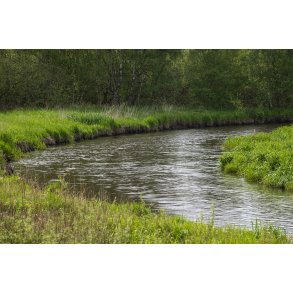 Nrre ved  Bakker i Nrredalen