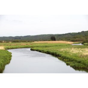 Nrre ved  Bakker i Nrredalen