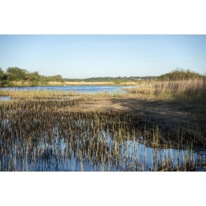 Tidlig for�rs morgen ved Guden�en i Randers med Hornb�k i baggrunden