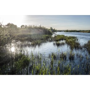 Tidlig for�rs morgen ved Guden�en med Randers i baggrunden