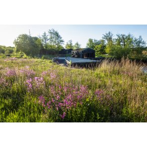 Tidlig for�rs morgen ved Randers Naturcenter og Guden�en