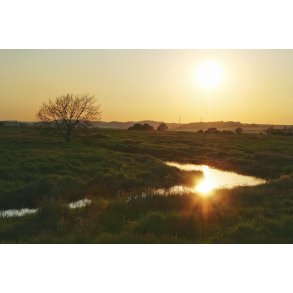 Alling  lber igennem Allingdalen ved ster Alling