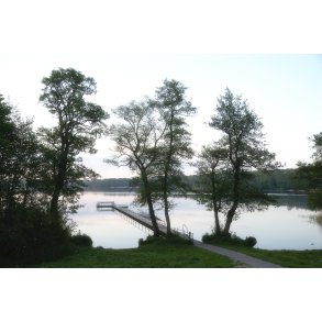 Tidlig morgen ved Fussing S� ved Fussing� Slot