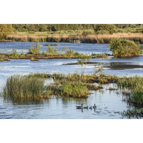 G�se familie p� morgen tur i Guden�en ved Randers. Guden�stien ses p� den anden side af �en.