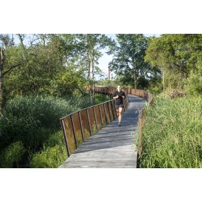 Stierne p� Storkeengen er et smukt og aktivt naturomr�de ved Guden�en i Randers