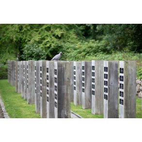 Due p� �Randers �ldre Kj�bmands-Liiglaugs� mindeomr�de p� �stre kirkeg�rd i Randers