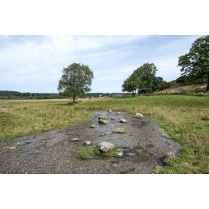 Kovads Bk med tillb til Lindenborg  ved Gravlev S i Rebild Bakker