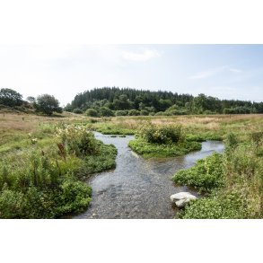 Kovads Bk med tillb til Lindenborg  ved Gravlev S i Rebild Bakker