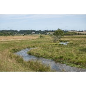 Lindenborg  ved Gravlev s i Rebild Bakker