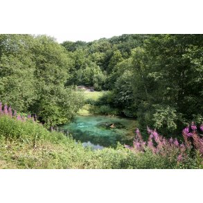 Farvestrlende kilde/s med udlb i Lindenborg  ved Gravlev S i Rebild Bakker.