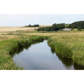 Lindenborg  ved Gravlev s p kanten af Rebild Bakker