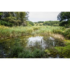 Lille Blkilde ved Rebild Bakker med udlb i Lindenborg  ved Gravlev S
