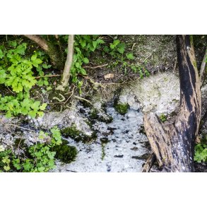 Lille Blkildes udspring i Rebild Bakker med udlb i Lindenborg  ved Gravlev S