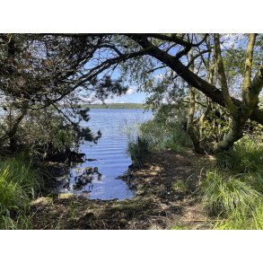 Madum S i Rold Skov er den nststrste s i Himmerland