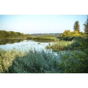 Morgen ved Guden�en i Randers