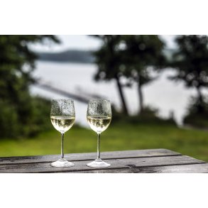 K�lig hvidvin i regnen ved Fussing S�