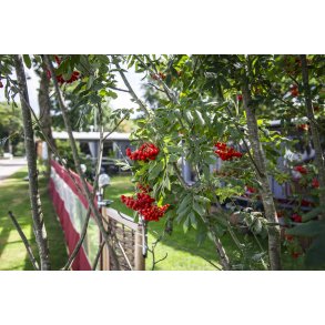 Campingpladsen Randers City Camp, ligger smukt i naturen ved N�rre� t�t p� Randers