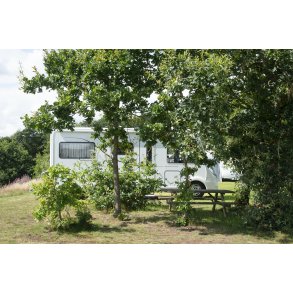 Campingpladsen Randers City Camp, ligger smukt i naturen ved N�rre� t�t p� Randers