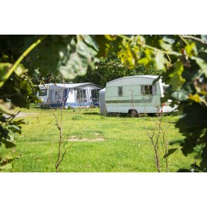 Campingpladsen Randers City Camp, ligger smukt i naturen ved N�rre� t�t p� Randers