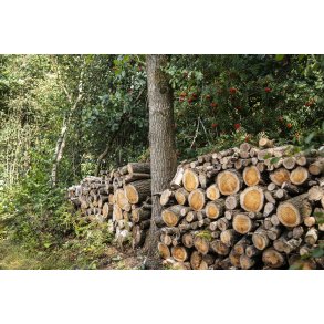 Campingpladsen Randers City Camp, ligger smukt i naturen ved N�rre� t�t p� Randers