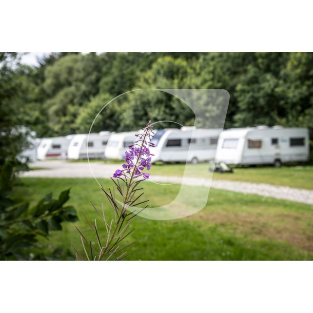 Campingpladsen Randers City Camp, ligger smukt i naturen ved Nrre tt p Randers