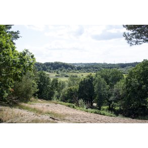 Udsigt over N�rre� dalen fra Fladbro skov ved Randers