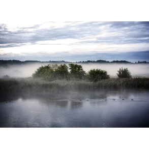 Morgendis i Vorup Enge