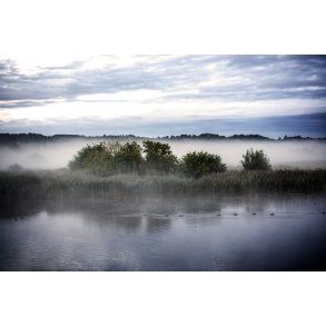 Morgendis over Vorup Enge ved Guden�en i Randers