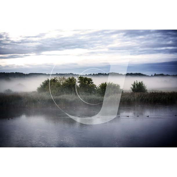 Morgendis over Vorup Enge ved Gudenen i Randers