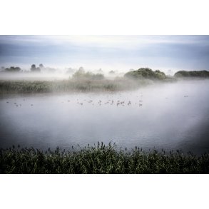 Morgendis over Vorup Enge ved Guden�en i Randers