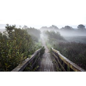 Efter�rs morgen ved Fuglet�rn i Vorup enge ved Guden�en i Randers