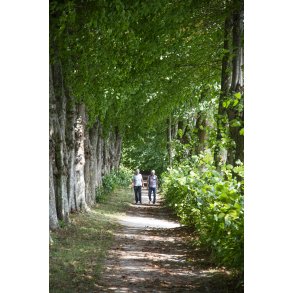 Den Romantiske Have ved Hald Hovedgrd tt p Viborg