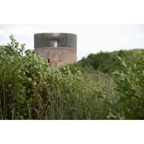 Hald Ruin, Hald Slot eller Bispens Hald. Borgruin p halv i Hald s ved Viborg