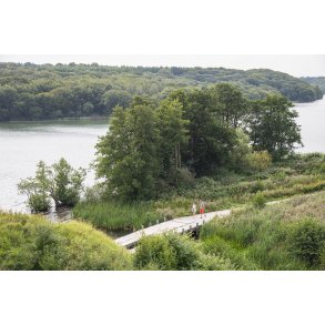 Hald Ruin, Hald Slot eller Bispens Hald. Borgruin p halv i Hald s ved Viborg