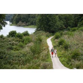 Hald Ruin, Hald Slot eller Bispens Hald. Borgruin p halv i Hald s ved Viborg