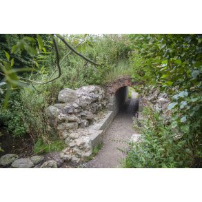 Hald Ruin, Hald Slot eller Bispens Hald. Borgruin p halv i Hald s ved Viborg.