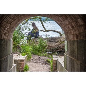 Hald Ruin, Hald Slot eller Bispens Hald. Borgruin p halv i Hald s ved Viborg.