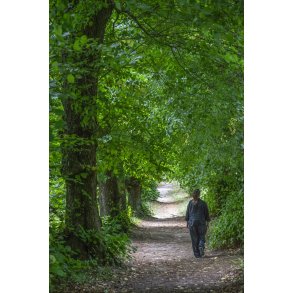 Den Romantiske Gave ved Hald Hovedgrd tt p Viborg