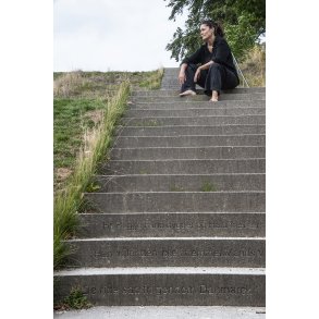 Trappe med inskription ved Hald Hovedgrd tt p Viborg