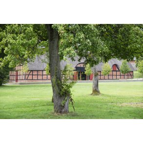 Hald Hovedgrd ved Viborg