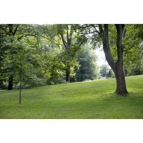 T�jhushaven i Randers