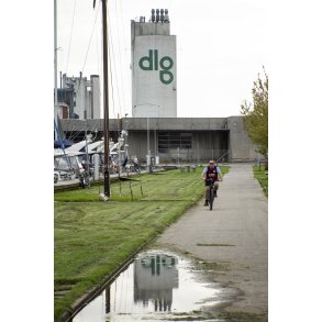 DLG Silo p� havnen i Randers