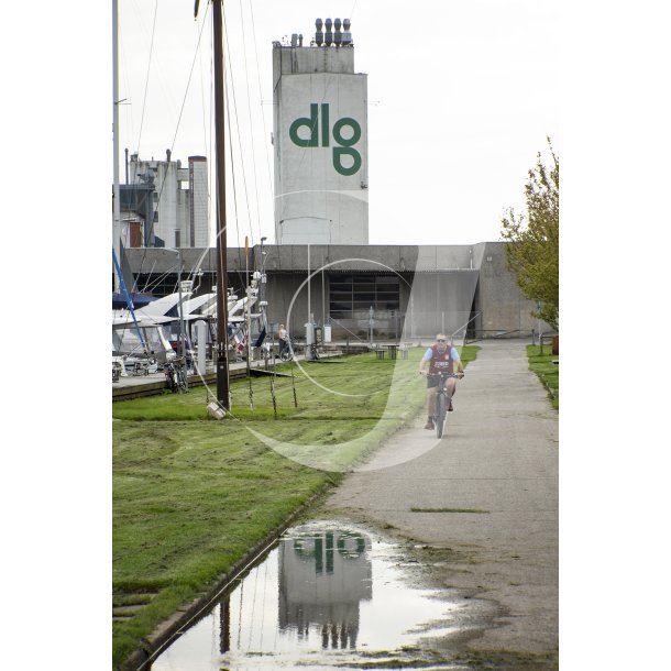 DLG Silo p havnen i Randers