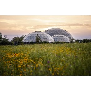 Jestesens Pl�ne og Randers Regnskov