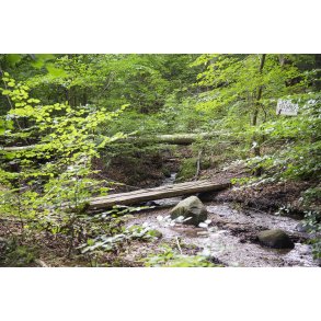 �ster Velling ved Randers