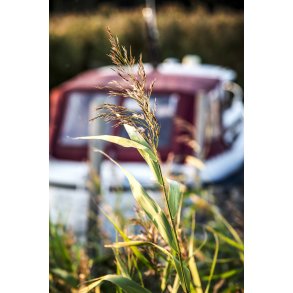 Uggelhuse Marina ved Randers Fjord