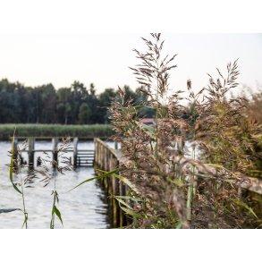 Uggelhuse Marina ved Randers Fjord