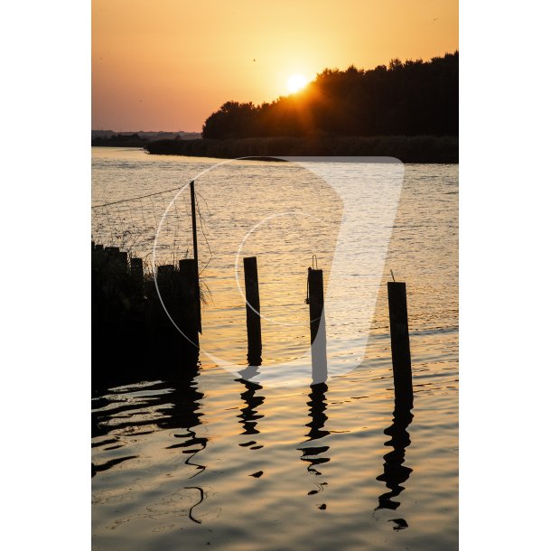 Uggelhuse Marina ved Randers Fjord