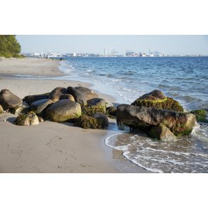 Ballehage Strand lidt syd for Tangkrogen i Aarhus